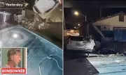 Nevada Homeowner's Lucky Escape as Impaired Driver Crashes into Pool