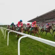 Newsboy's Friday Racing Tips: Keep Running NAP at Sandown