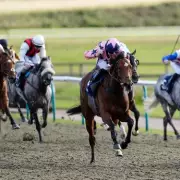 Newsboy's Wednesday Racing Tips: Lingfield Nap & Haydock Double