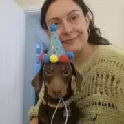 Paralysed Dachshund Jafar Finds Joy Again with £8,500 Doggy Wheelchair