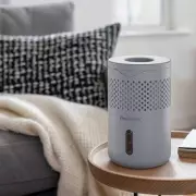 ProBreeze Dehumidifier on Sale at Debenhams to Fight Winter Condensation