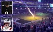 Rogue Firework Strikes Field at Ravens Game as Patriots Snatch Playoff Spot