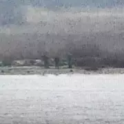 Russian Border Guards Cross into Estonia, Triggering NATO Alarm