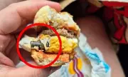 Rusted Bolt Found in McDonald's McMuffin Sparks Food Safety Alarm
