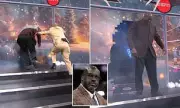 Shaquille O'Neal Smashes Through Studio Wall in Christmas Day NBA Broadcast Stunt