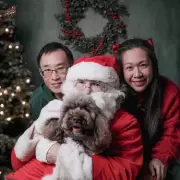 Surrey woman spends £450 on cockapoo's Christmas, husband gets a card