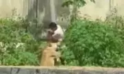Teenager, 19, mauled to death by lioness after scaling zoo wall in Brazil