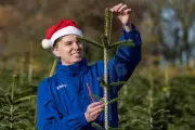 Tesco Gives Away 'Wonky' Christmas Trees on 6 December