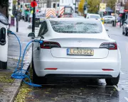 Tesla Warned UK Government: Weakening EV Rules Would Hit Sales & Climate Goals