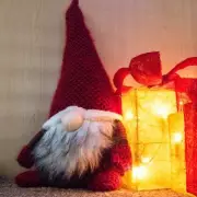 Test Your 20/20 Vision: Spot All Five Gnomes in This Festive Brainteaser