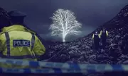 The Sycamore Gap Mystery: How Police Cracked the Case of the Felled Tree