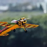 Tragic 'freak accident' kills father, 60, impaled by his own model plane