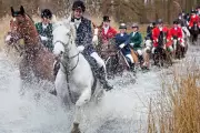 Trail Hunting Ban Announced: Government Closes Foxhunting 'Smokescreen'