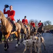 Trail Hunting Ban to End Boxing Day Hunts, Government Confirms