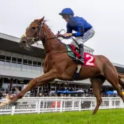 Trainer 'Lucky to Be Alive' After A1 Crash Kills Racehorse Calypso Breeze