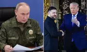 Trump & Zelensky Near Ukraine Peace Deal, Russia Agrees Talks in 'Final Stage'