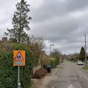 Two Teenagers Killed, One Critical After Tesla Crashes Into Tree in Surrey