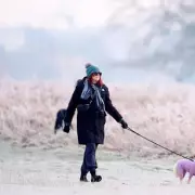 UK Weather: Temperatures to Plummet 9 Degrees Overnight, Frost and Rain Warnings Issued