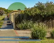 Urban Greening: How Small Native Plantings Can Save 400 Threatened Species