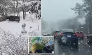 US Christmas Storm: Icy Blast and Floods Hit Northeast and California
