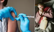 US Flu Crisis: Record Cases in New York as New Variant Spreads