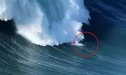 Veteran Surfer Carlos Burle, 58, Engulfed by Giant Nazaré Wave