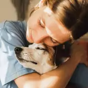 Vet's Simple Routine Change Could Help 80% of Dogs With Separation Anxiety