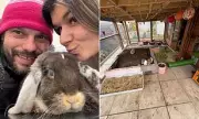 Welsh Rabbit Rescue Dragged into Culture War Over X Follow