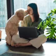 WFH Woes: Dog Owners Share Top Tips for Working from Home with Pets