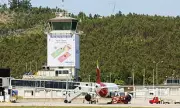Wild Boars Ground Flights at Spanish Airport, Causing Chaos and Delays