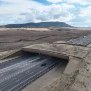 World's Largest Wildlife Bridge Opens in Colorado After £11m Project