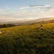 Yorkshire Dales Village: A Food Lover's Dream & Home to 'World's Strangest Place'