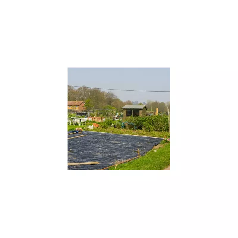 10 Essential February Gardening Tasks for a Vibrant Spring UK Garden