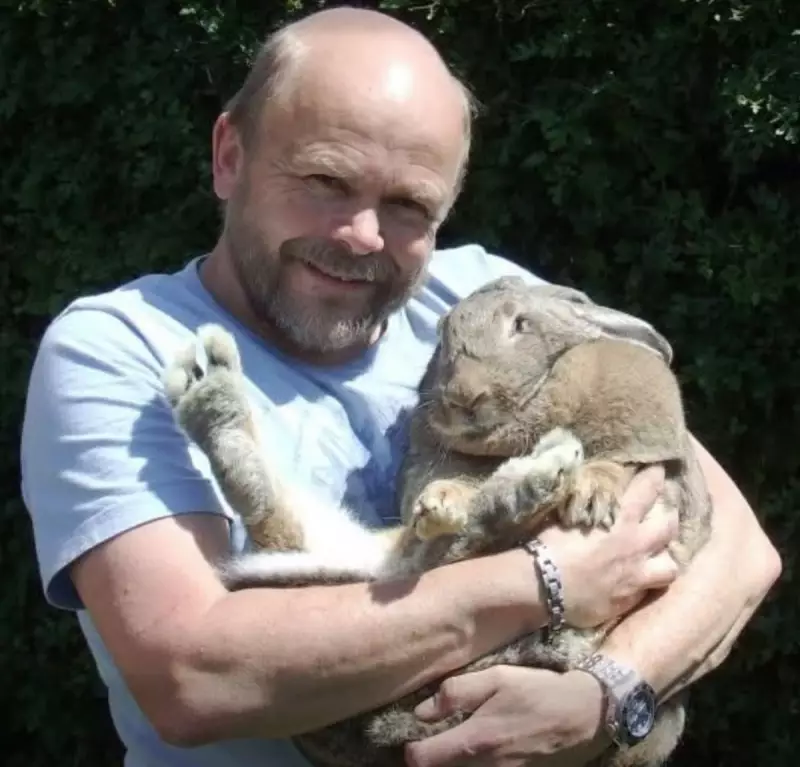 10kg Rabbit Saves Owner from Diabetic Coma in Remarkable Pet Rescue