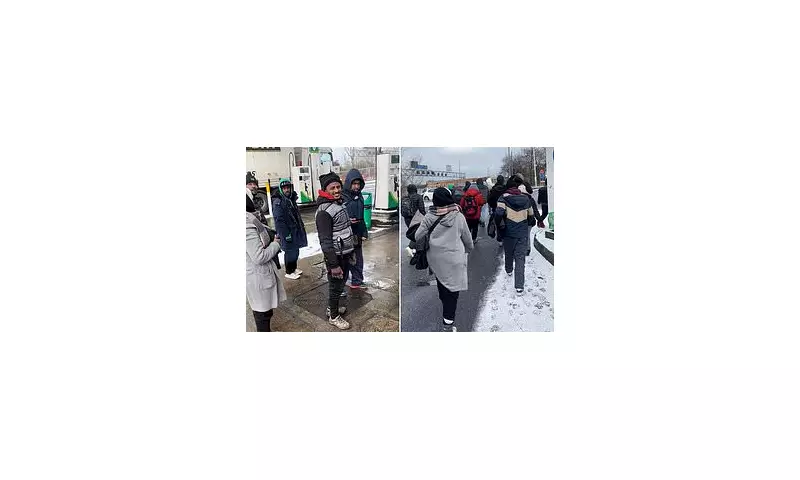 13 Migrants Arrested After M1 Service Station Incident Caught on Video