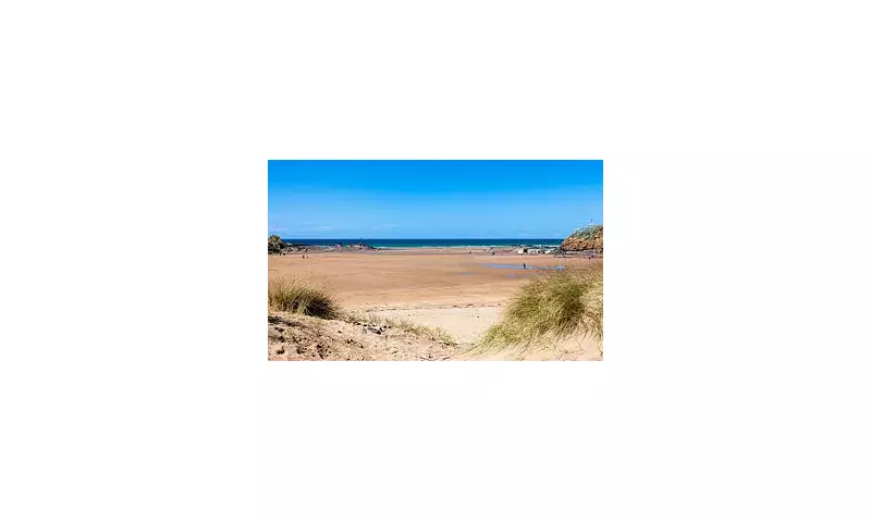 15-Year-Old Boy Found Dead in Bude Woodland, Police Confirm