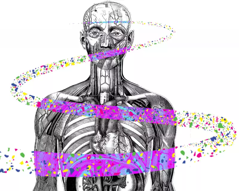 20 Microplastics Studies Questioned: Scientific Scrutiny Meets Political Risk