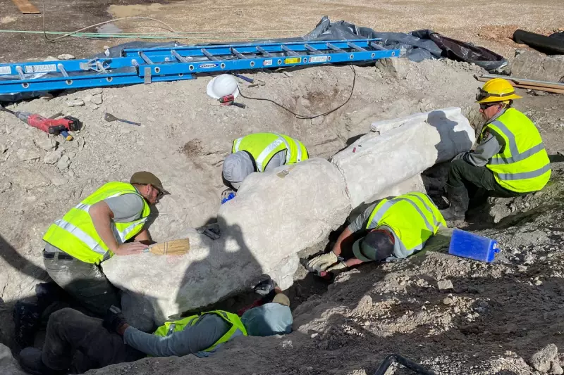3,000-Pound Dinosaur Fossil Unearthed in Utah Parking Lot Dig