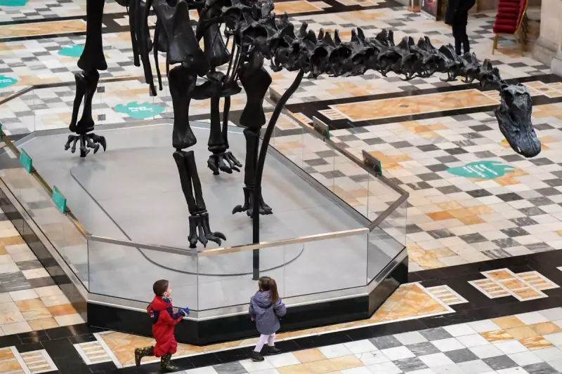 3,000lb Dinosaur Fossil Unearthed in US Car Park After Century-Long Wait