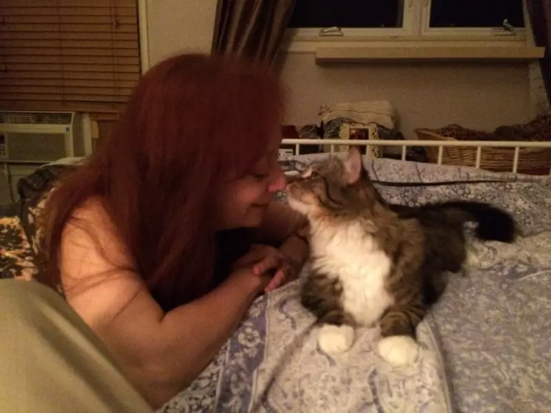 366-Day Search for Cats Lost in LA Wildfires: A Woman's Unwavering Promise