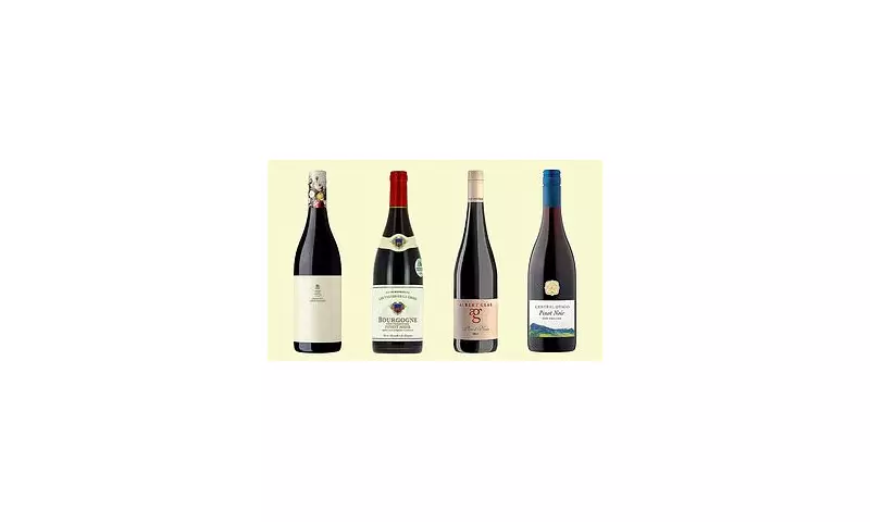 4 Supermarket Pinot Noir Wines Under £10: Perfect for Winter