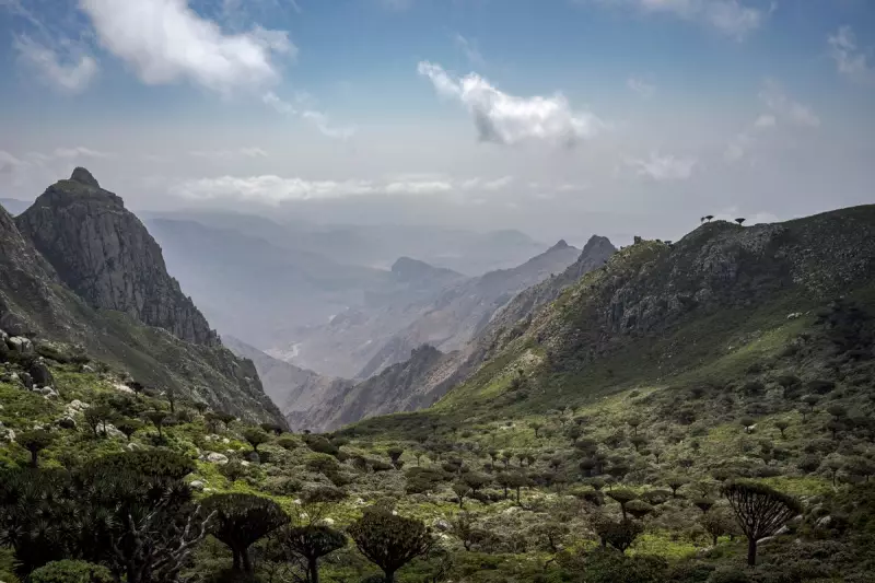 400 Tourists Stranded on Socotra After Yemeni Clashes Halt Flights