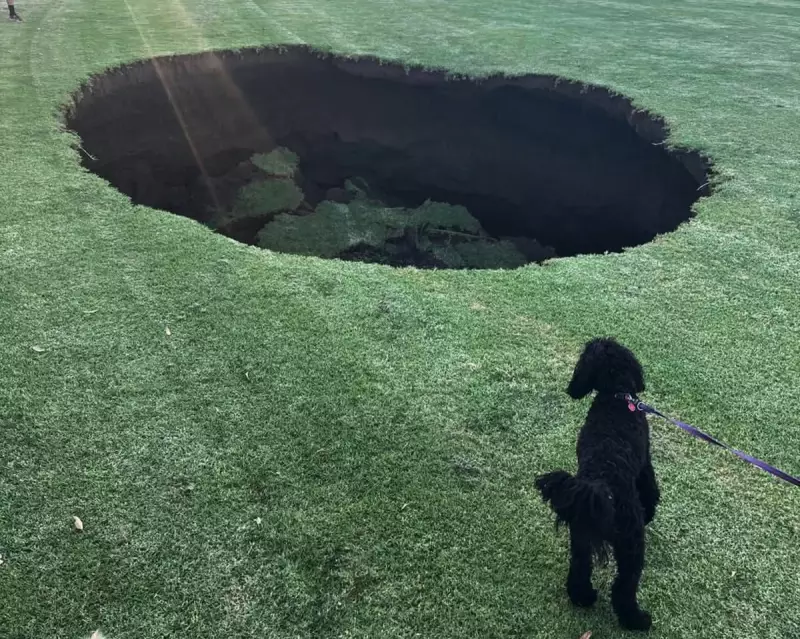 5-Metre Sinkhole Opens at Melbourne Oval Near £20bn Tunnel Works