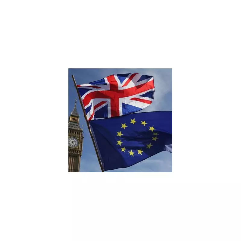 58% of Brits Would Vote to Rejoin EU in New Brexit Referendum, Poll Reveals