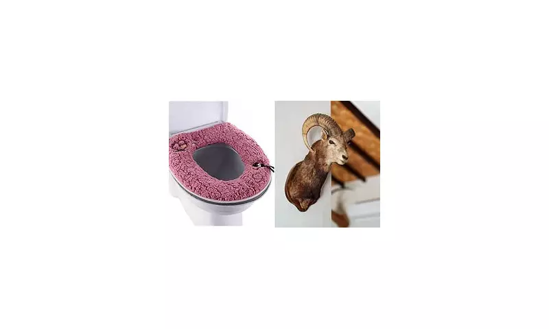 59% of Brits Reject Furry Toilet Seats: Holiday Let Decor Fails Revealed