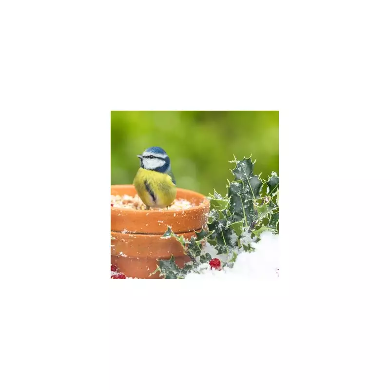 6 Vegetable Seeds to Sow Now for an Early Harvest Despite the Cold