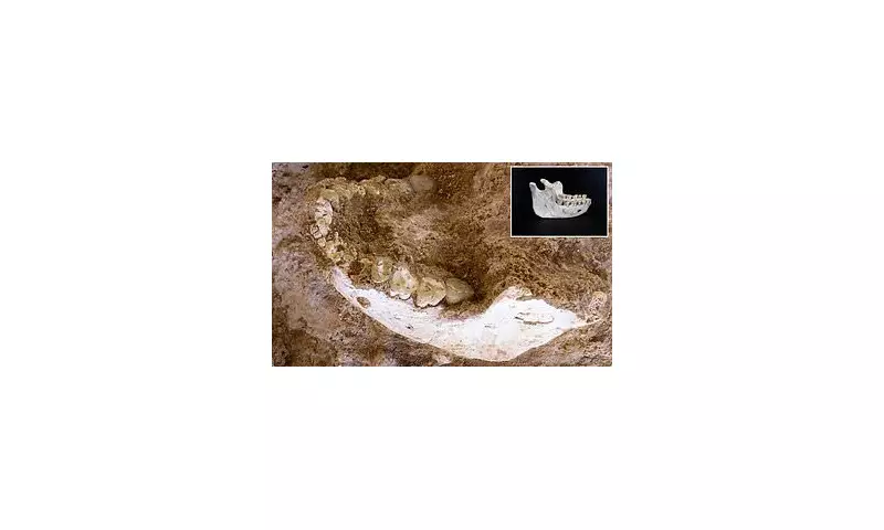 773,000-Year-Old 'Missing Link' Fossils Found in Morocco Rewrite Human Evolution