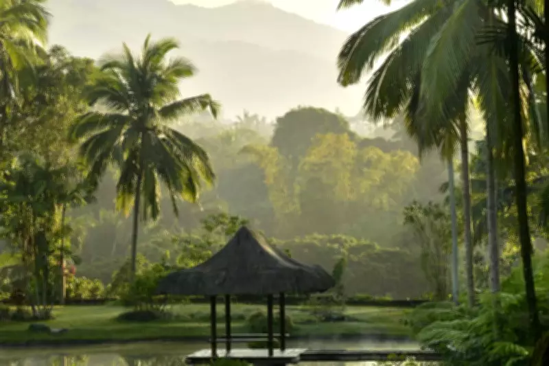 A Hippy Holiday in The Philippines: Holistic Therapies Under the Sun