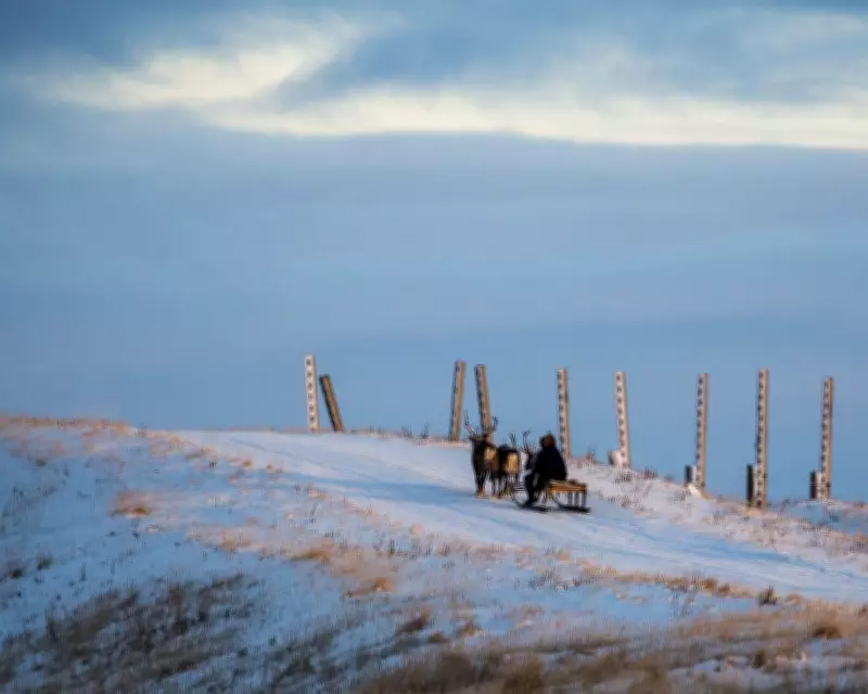 A Winter's Literary Journey: From Arctic Nomads to Berlin's Shadows