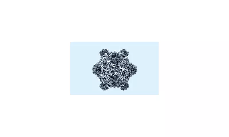 AI Creates First-Ever Artificial Virus in Major Synthetic Biology Breakthrough